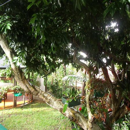Vila Les Agapanthes Le Tampon Exteriér fotografie
