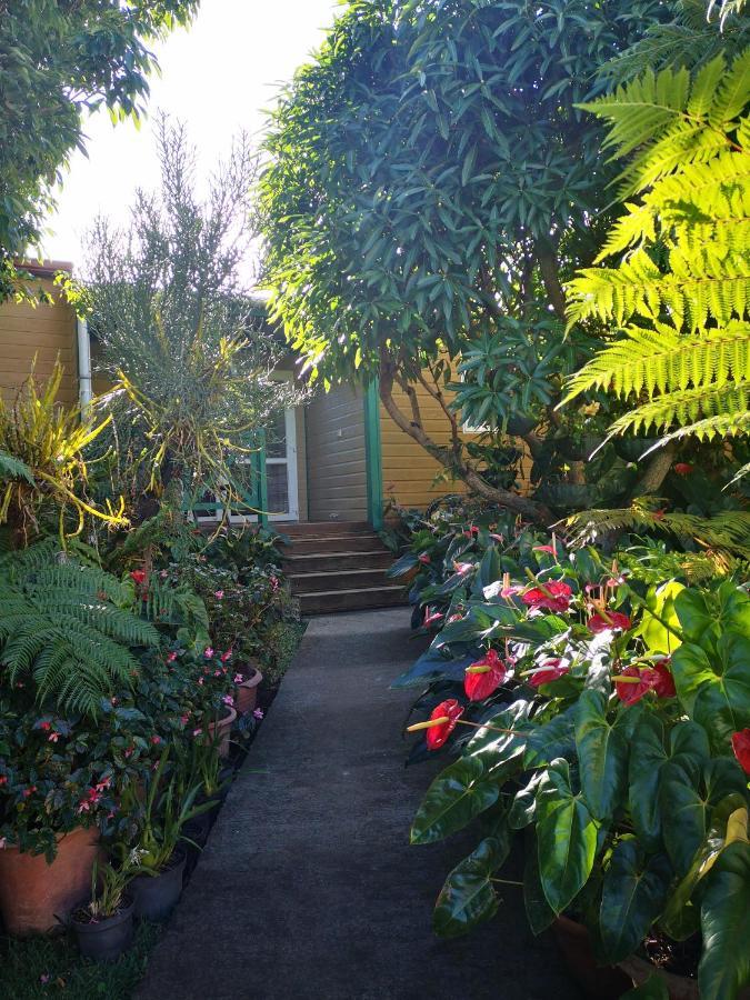 Vila Les Agapanthes Le Tampon Exteriér fotografie