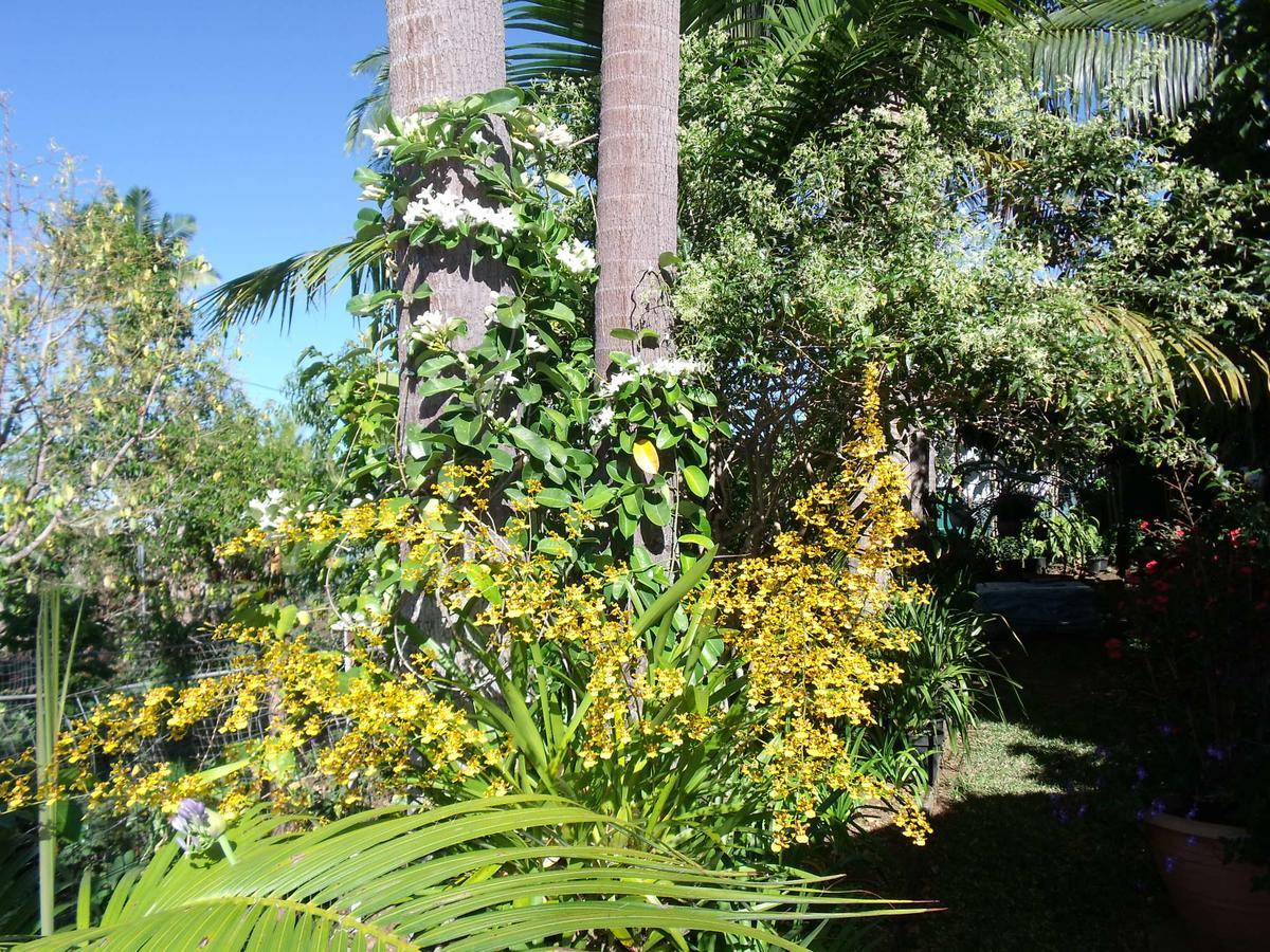 Vila Les Agapanthes Le Tampon Exteriér fotografie