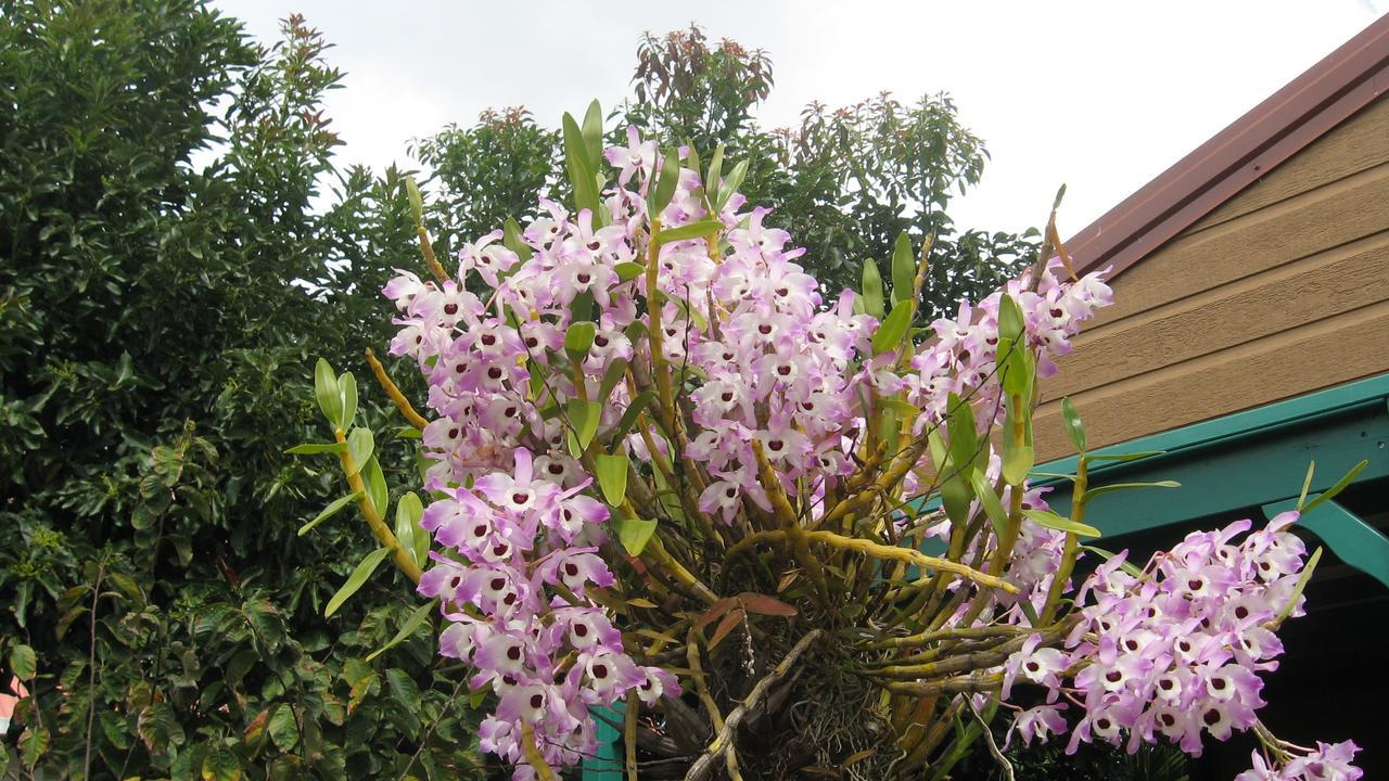 Vila Les Agapanthes Le Tampon Exteriér fotografie