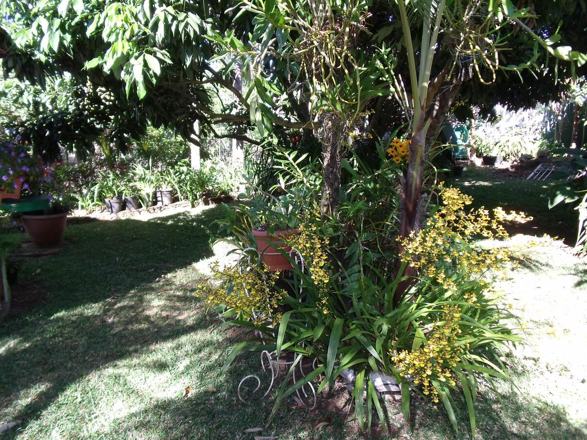 Vila Les Agapanthes Le Tampon Exteriér fotografie