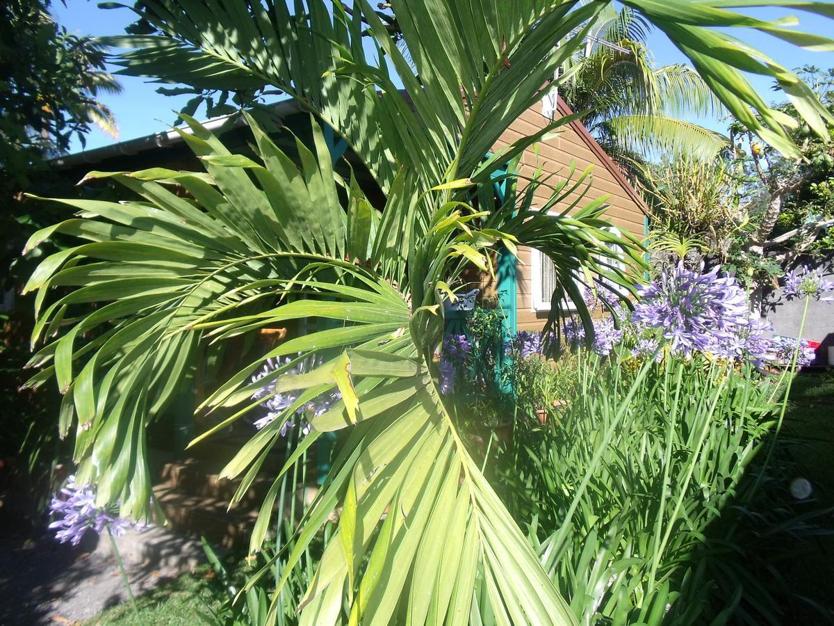Vila Les Agapanthes Le Tampon Exteriér fotografie