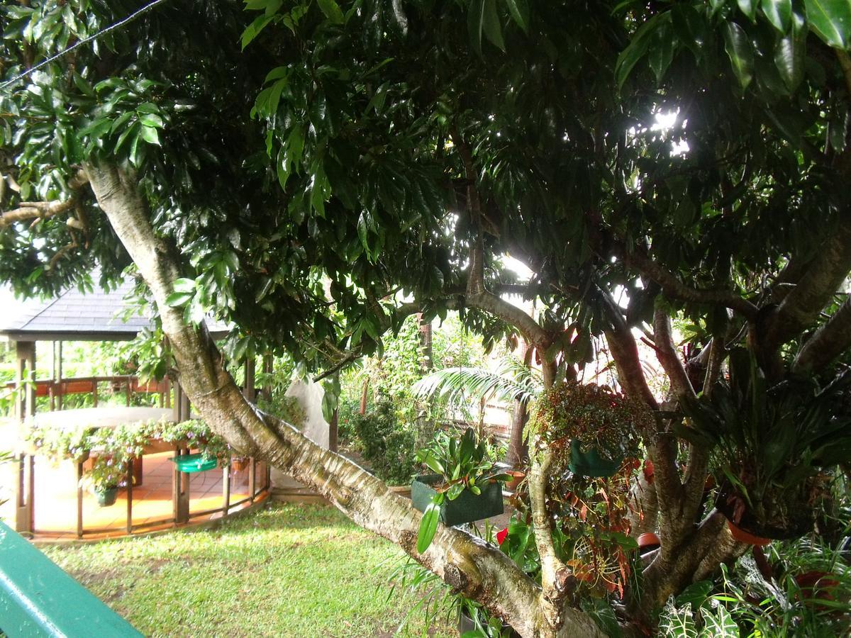 Vila Les Agapanthes Le Tampon Exteriér fotografie