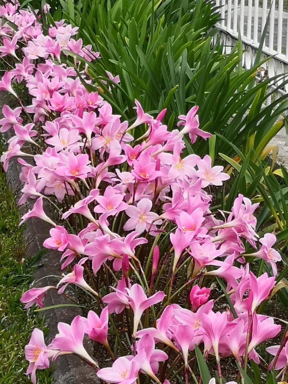 Vila Les Agapanthes Le Tampon Exteriér fotografie